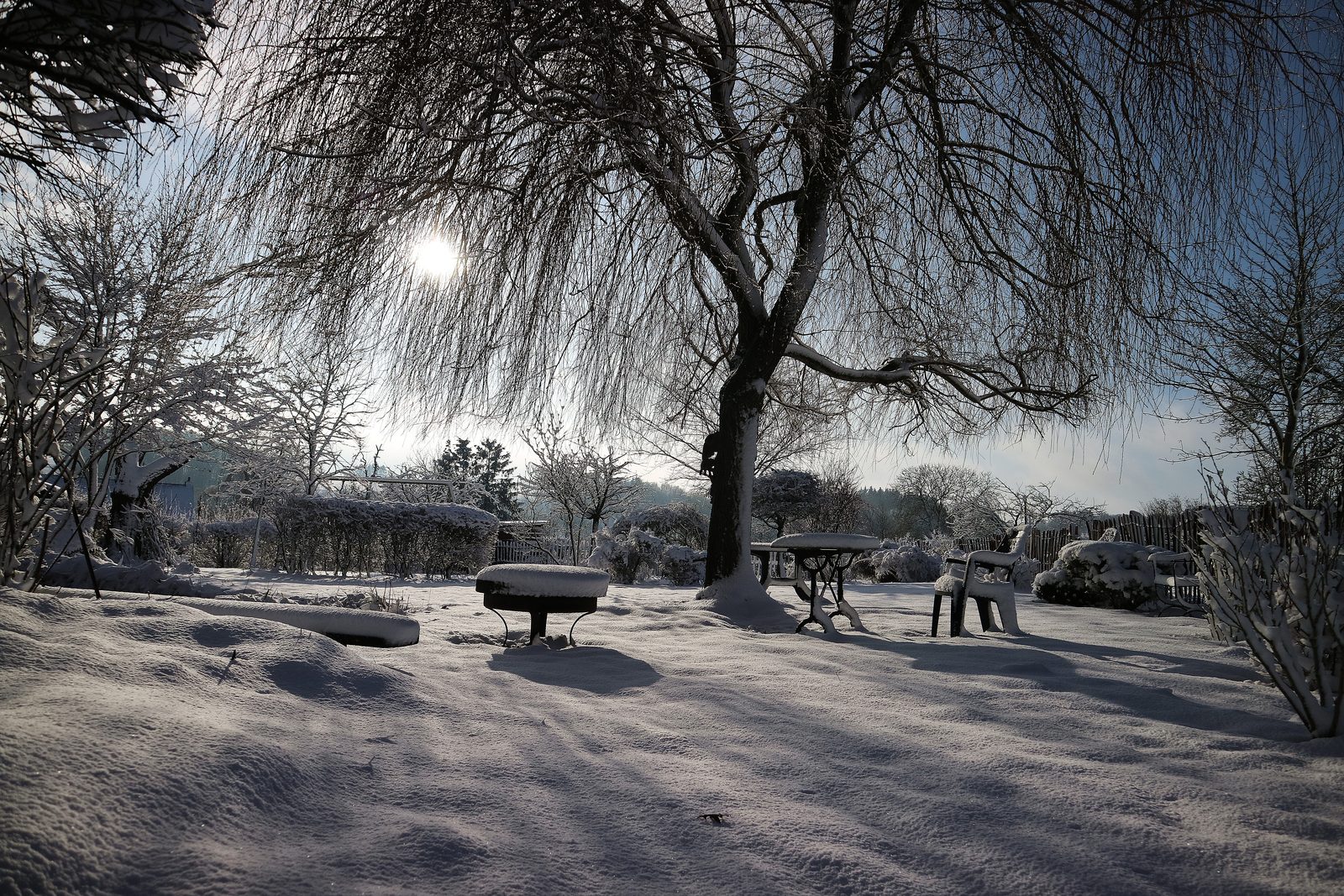 Saule et jardin sous la neige en hiver